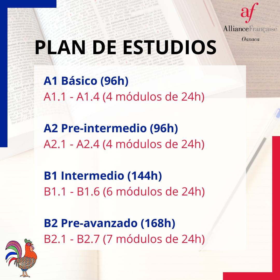 Niveles y progresión Alianza Francesa de