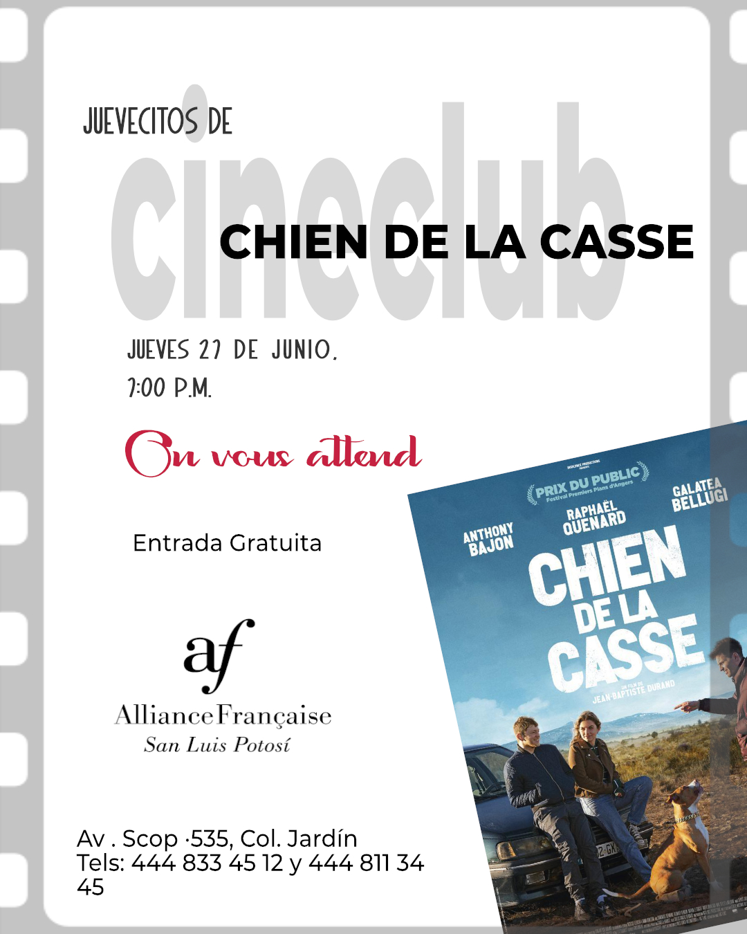 Cineclub : Chien de la casse