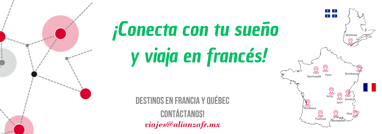 Prácticas profesionales